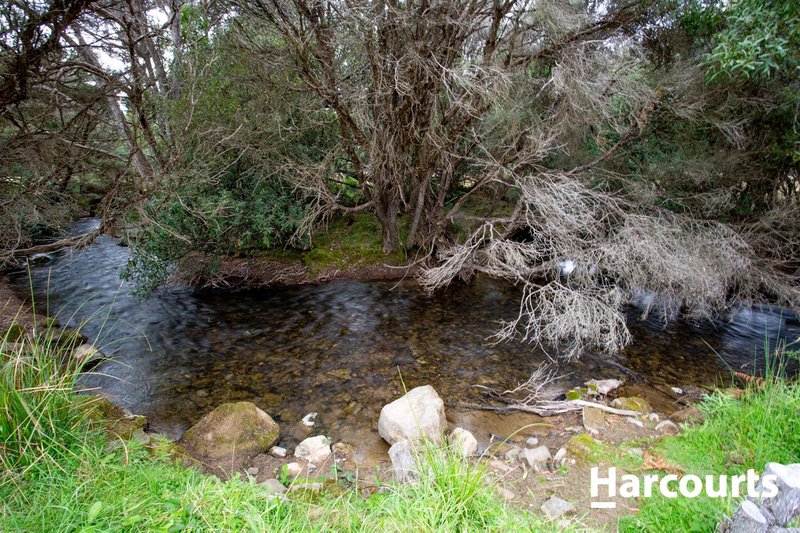 Photo - 435 Liena Road, Mole Creek TAS 7304 - Image 4