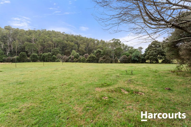 Photo - 435 Liena Road, Mole Creek TAS 7304 - Image 17