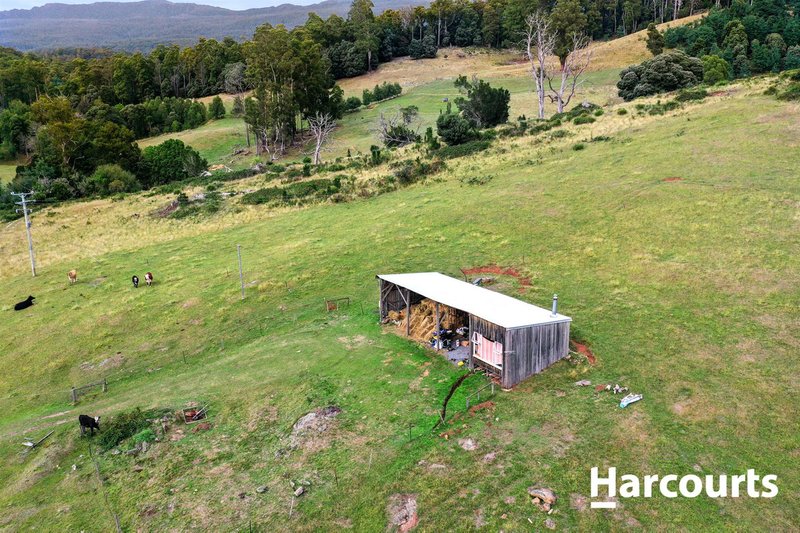 Photo - 435 Liena Road, Mole Creek TAS 7304 - Image 18