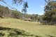 Photo - 436 Blackheath Creek Road, Kanimbla NSW 2790 - Image 17