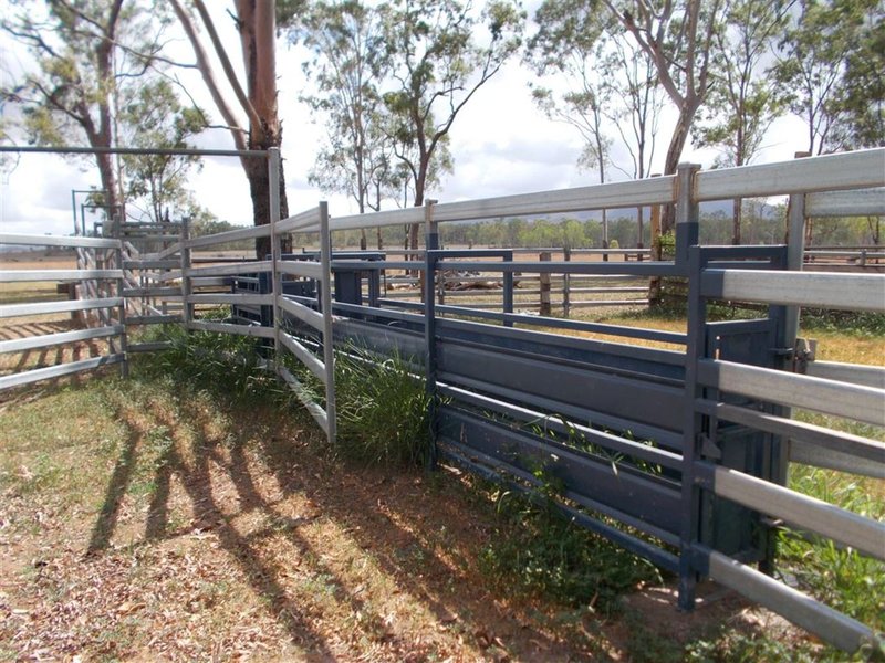 Photo - 4365 Marlborough-Sarina Road, Nebo QLD 4742 - Image 8