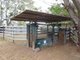 Photo - 4365 Marlborough-Sarina Road, Nebo QLD 4742 - Image 13