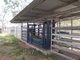 Photo - 4365 Marlborough-Sarina Road, Nebo QLD 4742 - Image 12