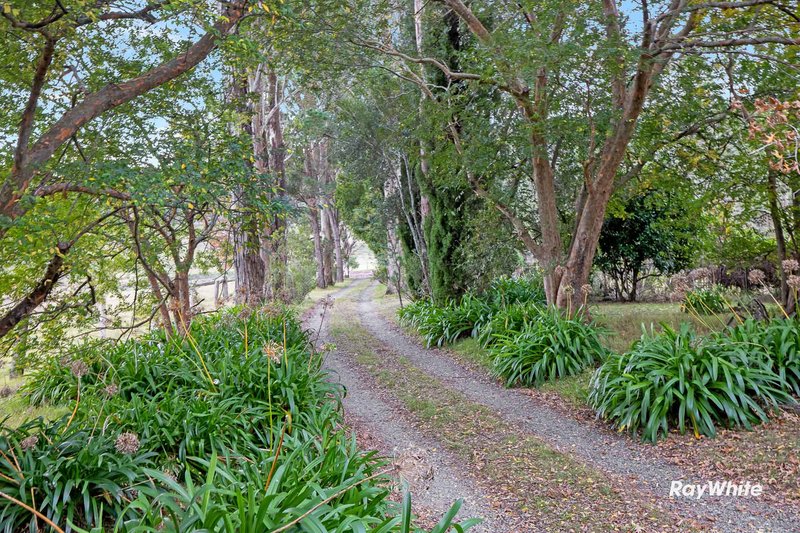 Photo - 437 Larrys Mountain Road, Moruya NSW 2537 - Image 5