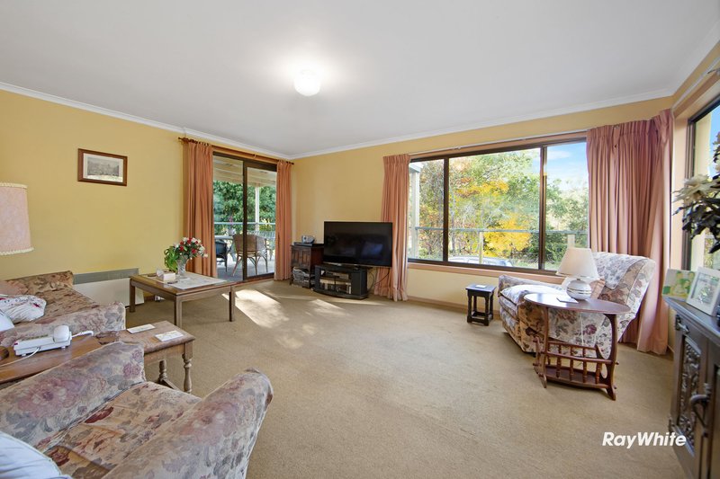 Photo - 437 Larrys Mountain Road, Moruya NSW 2537 - Image 17