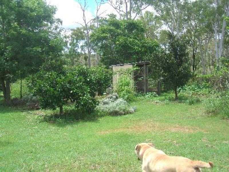 Photo - 437 Taunton Road, Euleilah QLD 4674 - Image 6