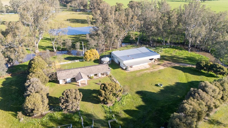 Photo - 437 Webb Road, Goomalibee VIC 3673 - Image 1