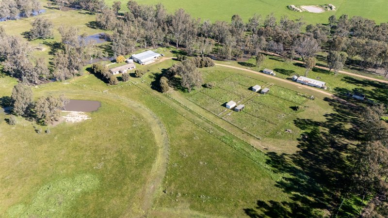 Photo - 437 Webb Road, Goomalibee VIC 3673 - Image 4