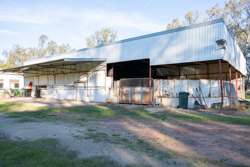 Photo - 437 Webb Road, Goomalibee VIC 3673 - Image 5