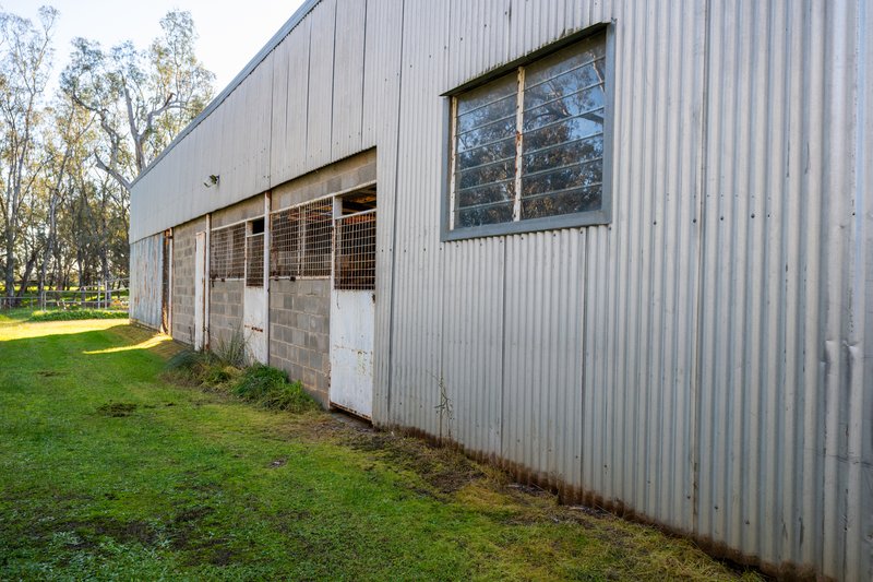 Photo - 437 Webb Road, Goomalibee VIC 3673 - Image 7