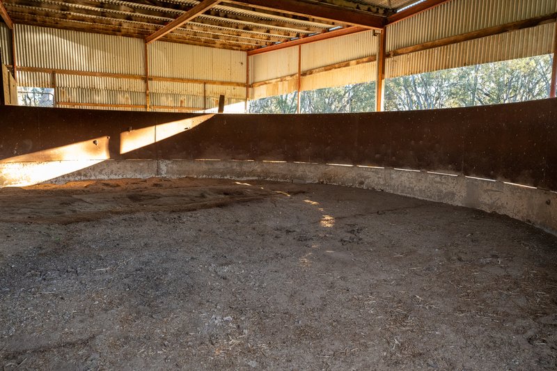 Photo - 437 Webb Road, Goomalibee VIC 3673 - Image 8