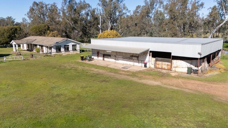 Photo - 437 Webb Road, Goomalibee VIC 3673 - Image 10