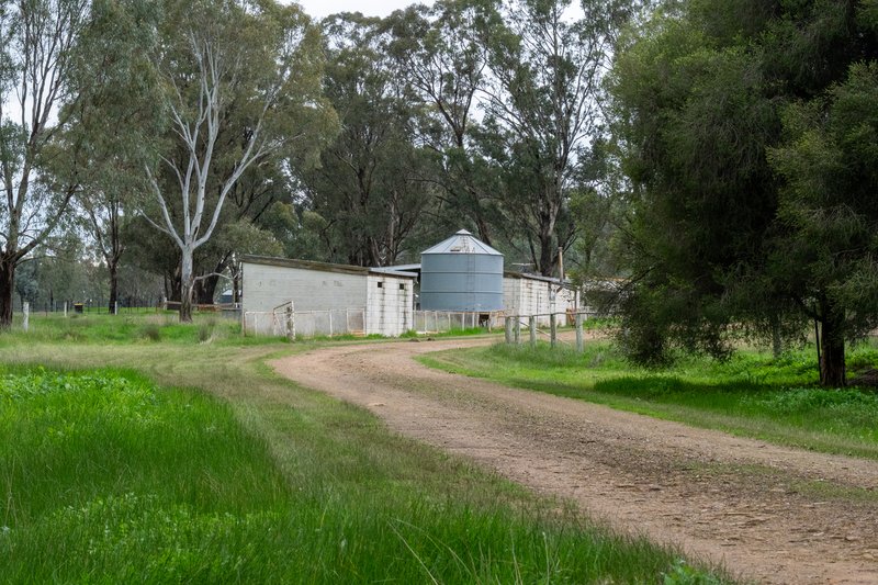 Photo - 437 Webb Road, Goomalibee VIC 3673 - Image 19
