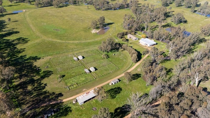 Photo - 437 Webb Road, Goomalibee VIC 3673 - Image 21