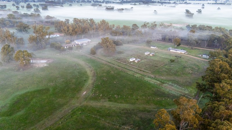 Photo - 437 Webb Road, Goomalibee VIC 3673 - Image 23