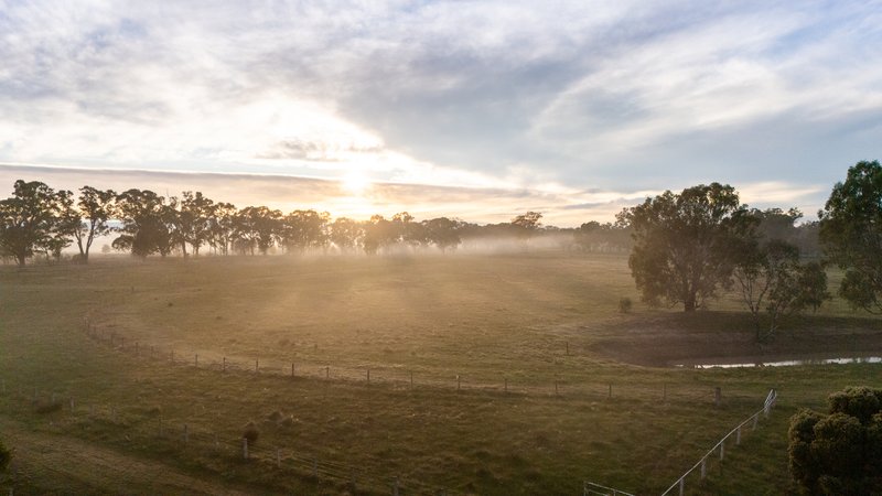 Photo - 437 Webb Road, Goomalibee VIC 3673 - Image 24