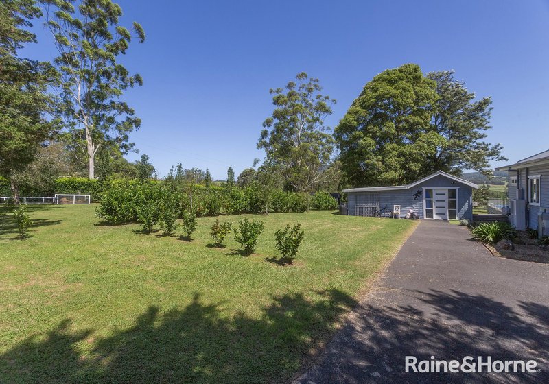 Photo - 439 Coolangatta Road, Far Meadow NSW 2535 - Image 21