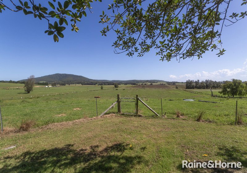 Photo - 439 Coolangatta Road, Far Meadow NSW 2535 - Image 28