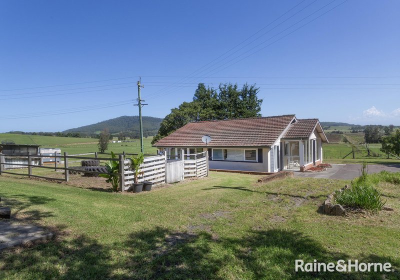 Photo - 439 Coolangatta Road, Far Meadow NSW 2535 - Image 32