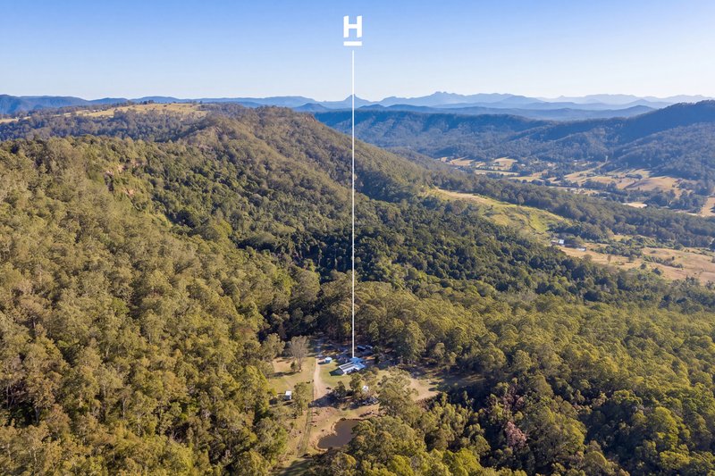 Photo - 439 Lamington National Park Road, Canungra QLD 4275 - Image 1