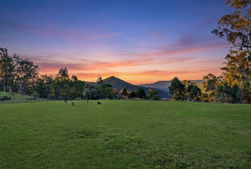 Photo - 439 Lamington National Park Road, Canungra QLD 4275 - Image 5