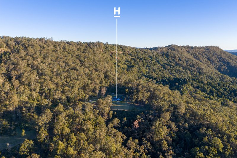 Photo - 439 Lamington National Park Road, Canungra QLD 4275 - Image 25