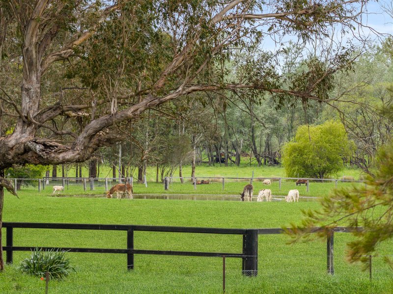 Photo - 43A Eridge Park Road, Burradoo NSW 2576 - Image 34