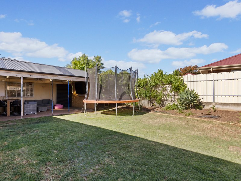 Photo - 43A Neath Avenue, Dover Gardens SA 5048 - Image 17