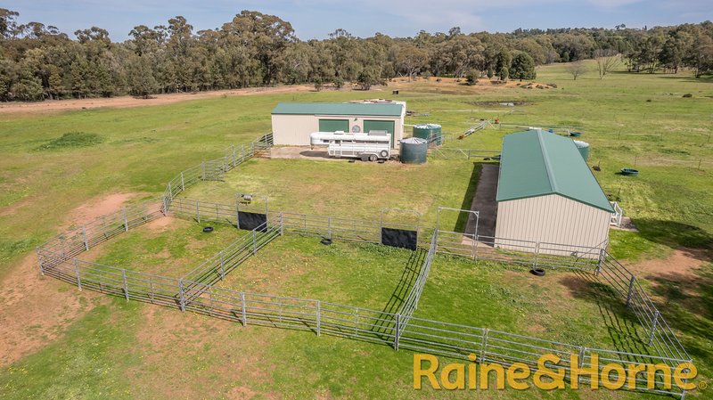 Photo - 43L Eulomogo Road, Dubbo NSW 2830 - Image 15