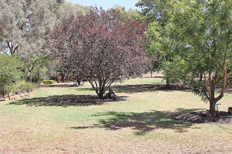 Photo - 44 - 46 Cowper , Coonabarabran NSW 2357 - Image 12