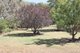 Photo - 44 - 46 Cowper , Coonabarabran NSW 2357 - Image 12