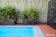 Photo - 44 Alectura Crescent, Bahrs Scrub QLD 4207 - Image 24