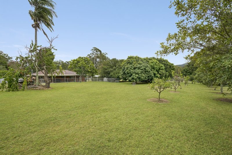 Photo - 44 Alfs Pinch Road, Beerwah QLD 4519 - Image 3