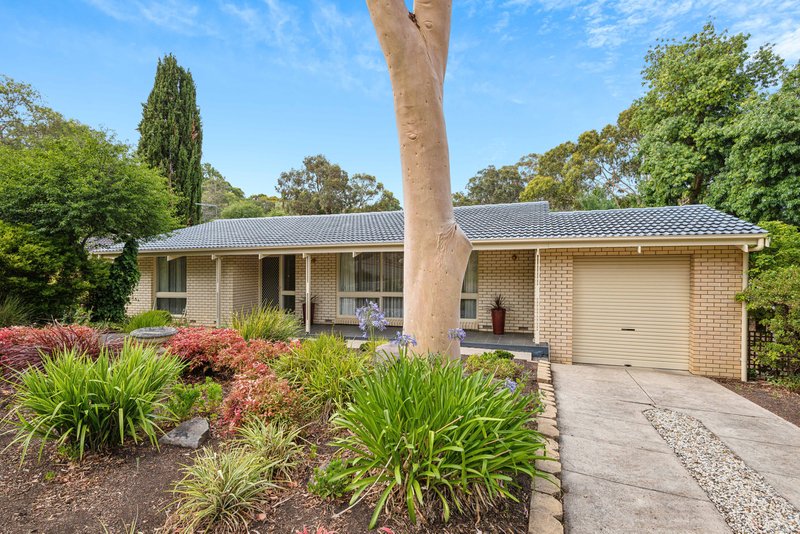 Photo - 44 Alison Drive, Happy Valley SA 5159 - Image 2