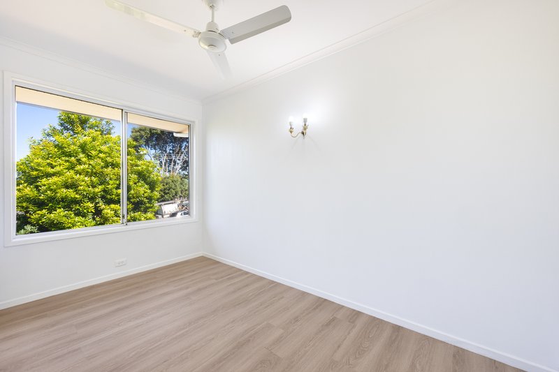 Photo - 44 Avocado Crescent, Bli Bli QLD 4560 - Image 6