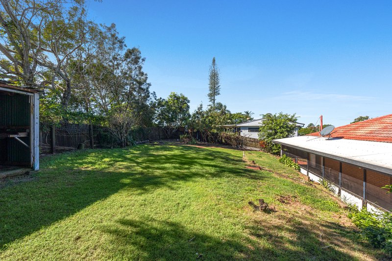 Photo - 44 Avocado Crescent, Bli Bli QLD 4560 - Image 11