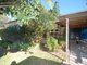 Photo - 44 Campbell Street, Wingham NSW 2429 - Image 11