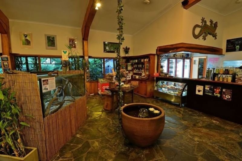 Photo - 44 Cape Tribulation Road, Diwan QLD 4873 - Image 3