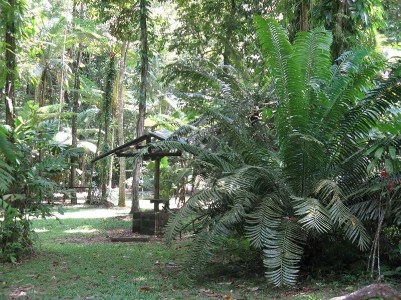 Photo - 44 Cape Tribulation Road, Diwan QLD 4873 - Image 6