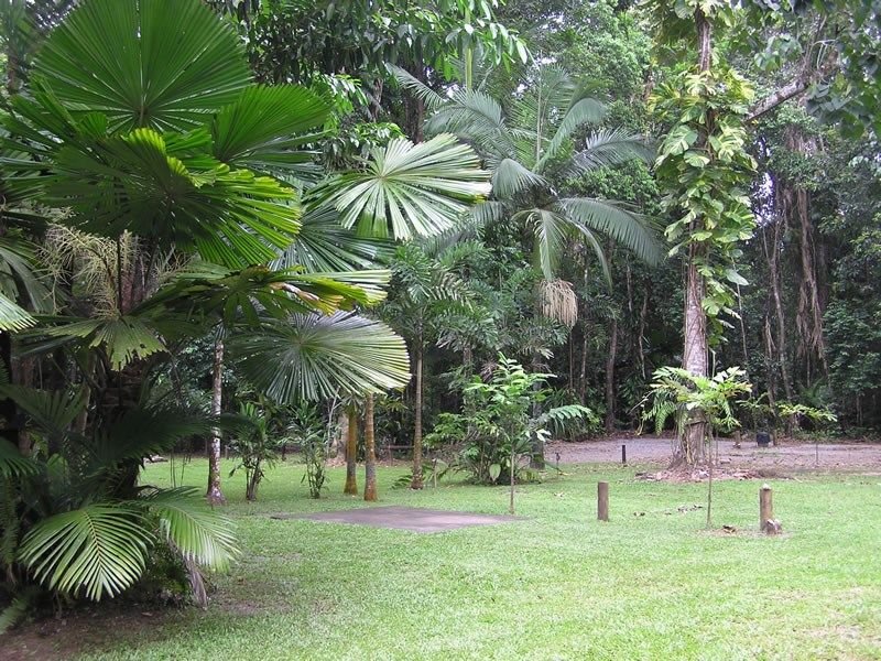 Photo - 44 Cape Tribulation Road, Diwan QLD 4873 - Image 7