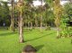 Photo - 44 Cape Tribulation Road, Diwan QLD 4873 - Image 10