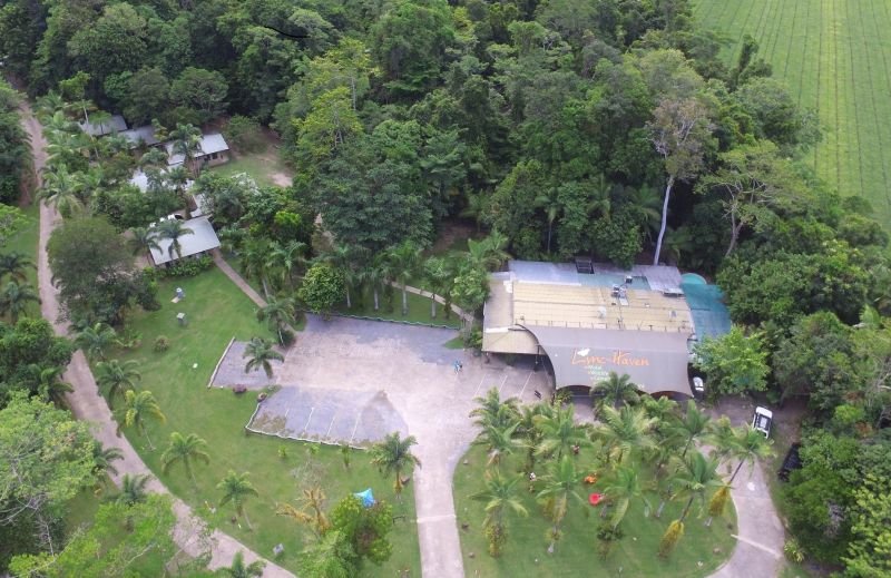 Photo - 44 Cape Tribulation Road, Diwan QLD 4873 - Image 19