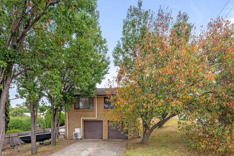 Photo - 44 Carl Street, Muswellbrook NSW 2333 - Image 13