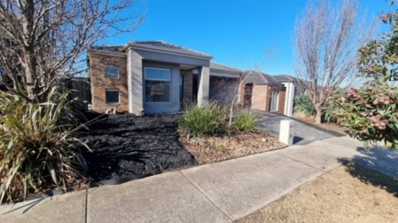 Photo - 44 Chicory Street, Mernda VIC 3754 - Image 1
