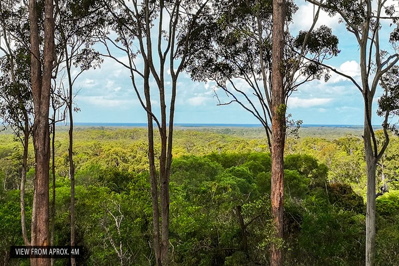 Photo - 44 Clearview Drive, Lake Macdonald QLD 4563 - Image 9