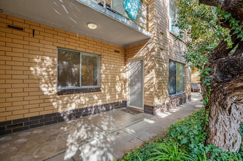 Photo - 4/4 Collyer Court, Linden Park SA 5065 - Image 9