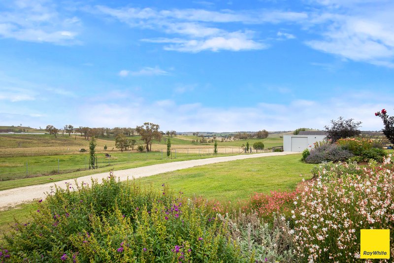 Photo - 44 Elm Street, Guyra NSW 2365 - Image 12