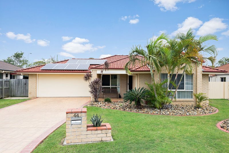 Photo - 44 Finnegan Street, Rothwell QLD 4022 - Image 4