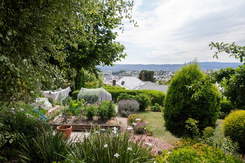 Photo - 44 Hill Street, West Launceston TAS 7250 - Image 22