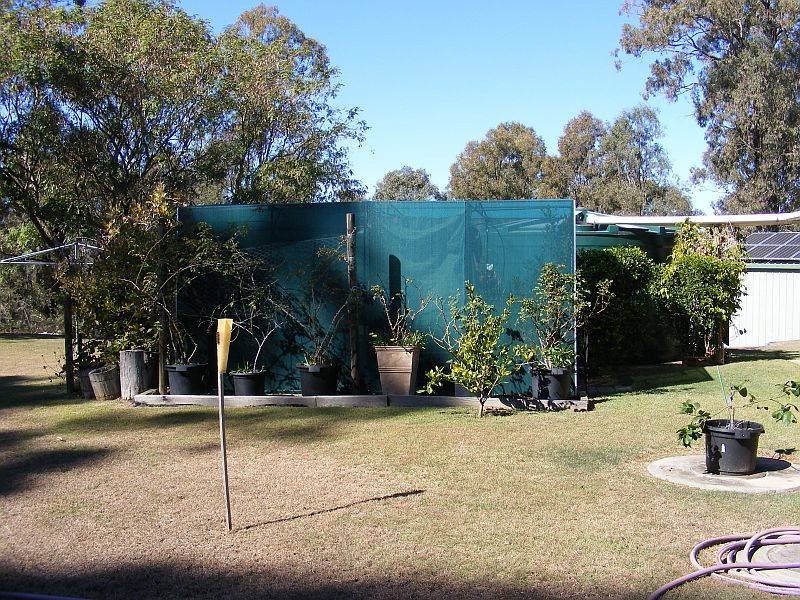 Photo - 44 Hines Road, Wondai QLD 4606 - Image 23